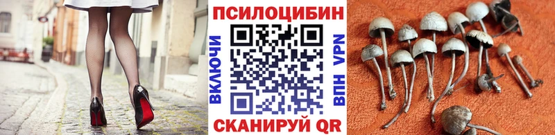Галлюциногенные грибы мухоморы  Купить закладки  Островной 